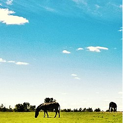 Serengeti National Park
